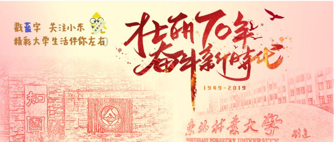 小猫钓鱼开船版最新版下载